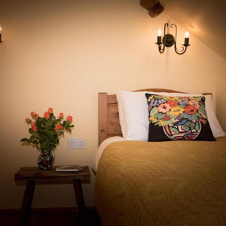 Cae'R Beili Villa Llandovery Exteriör bild