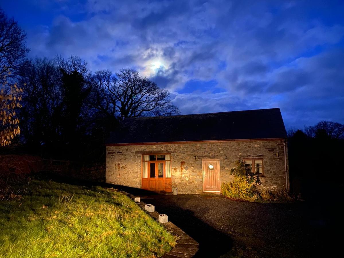 Cae'R Beili Villa Llandovery Exteriör bild