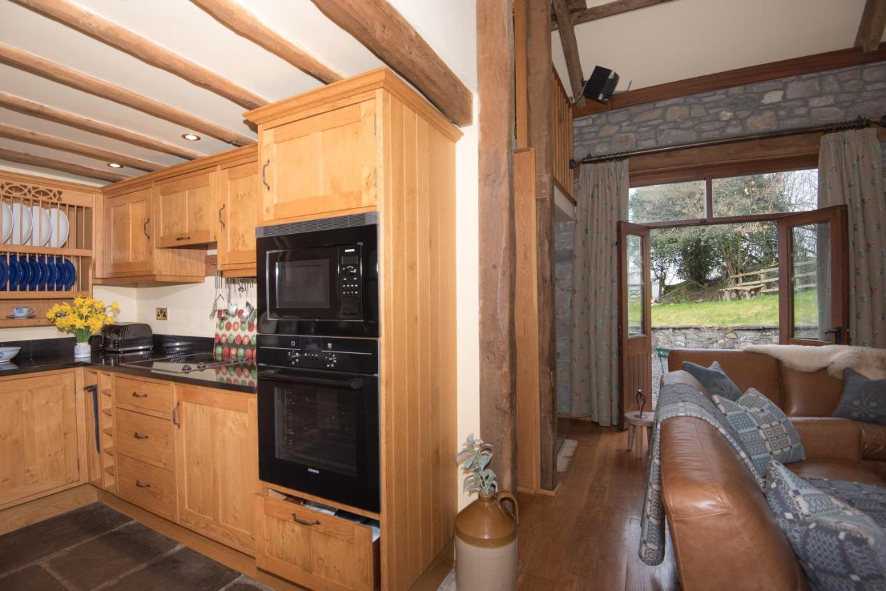 Cae'R Beili Villa Llandovery Exteriör bild