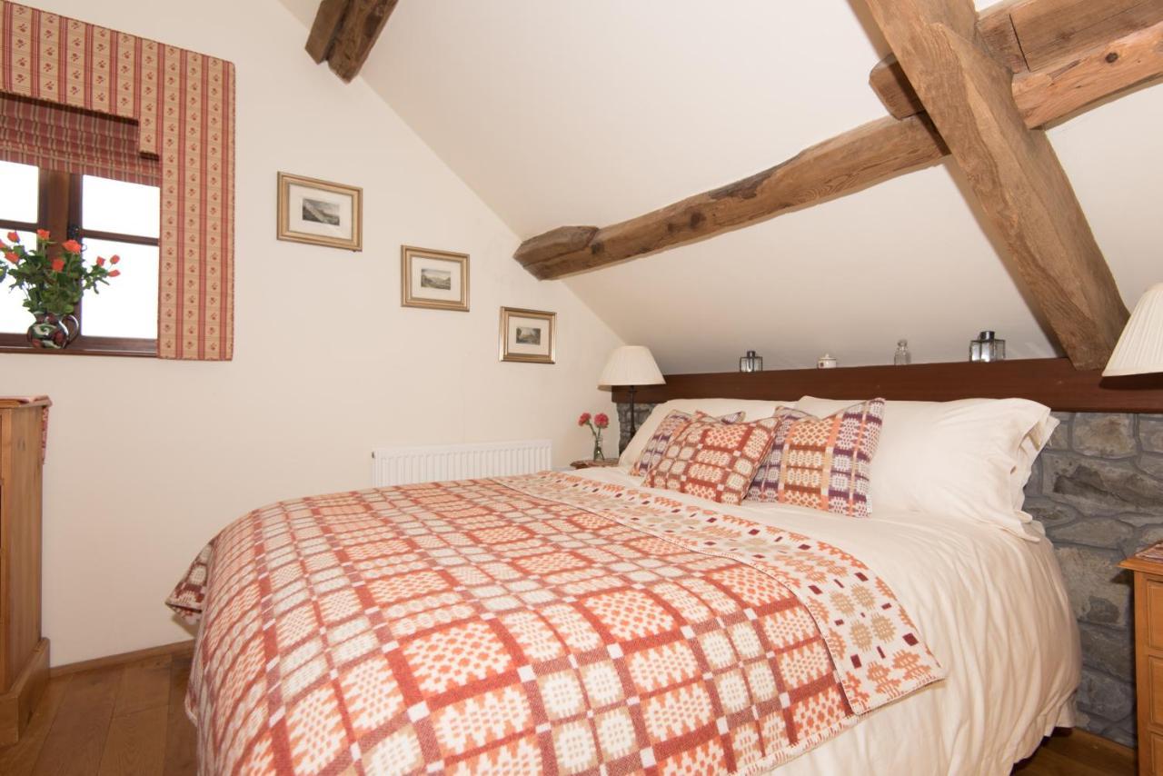 Cae'R Beili Villa Llandovery Exteriör bild