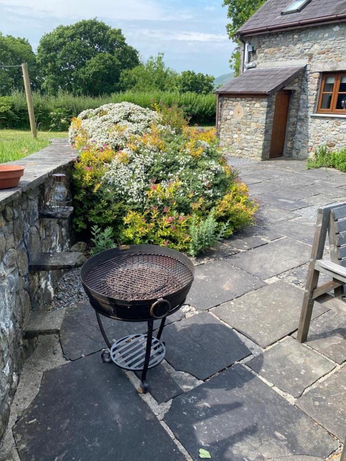 Cae'R Beili Villa Llandovery Exteriör bild