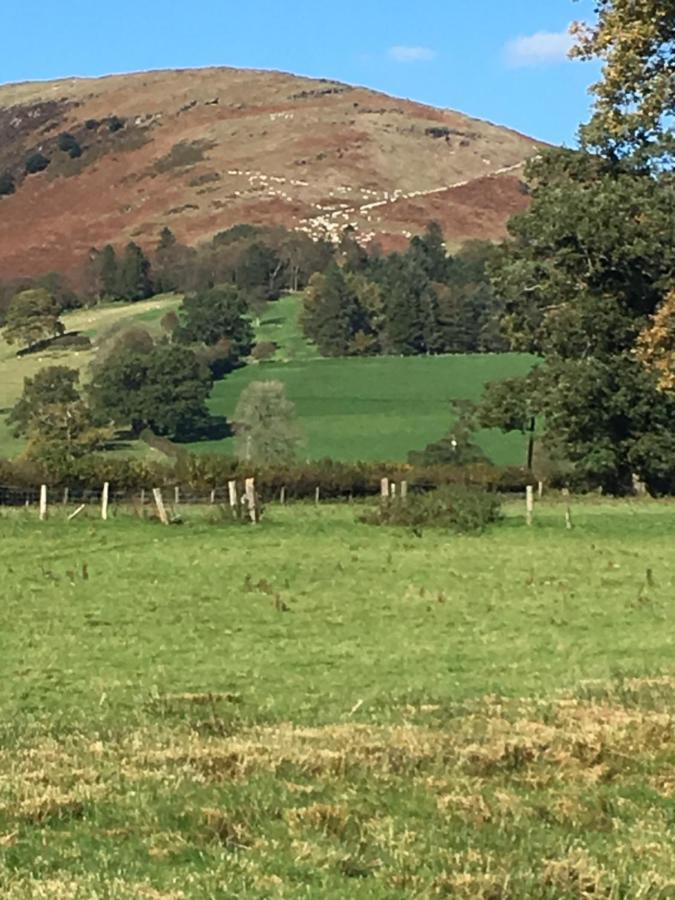 Cae'R Beili Villa Llandovery Exteriör bild